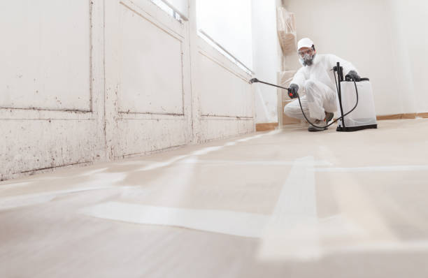 24/7 Emergency Mold Remediation experts in Lorton, VA